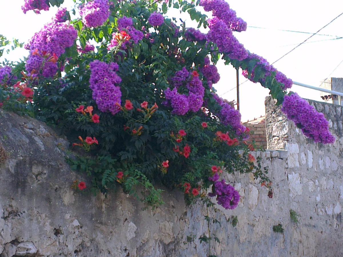 Romantic Old Dinka - With Garden * Dubrovnik